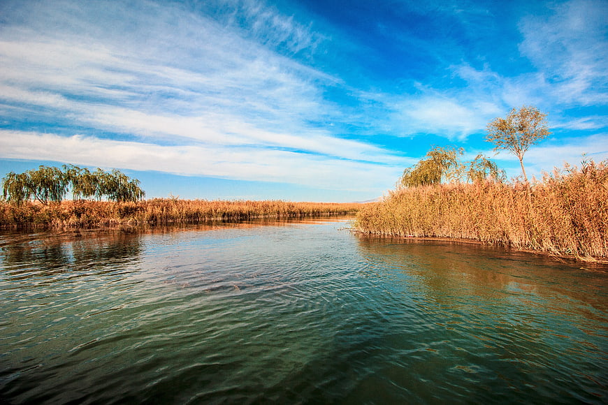 Serene River Flowing Through Golden Reeds Under Blue Sky