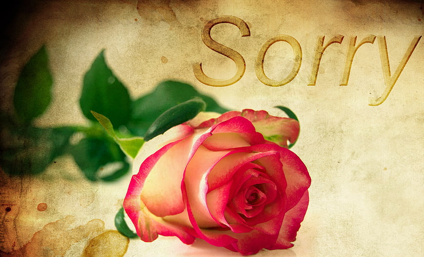 Vintage Rose with Sorry Text on Textured Background