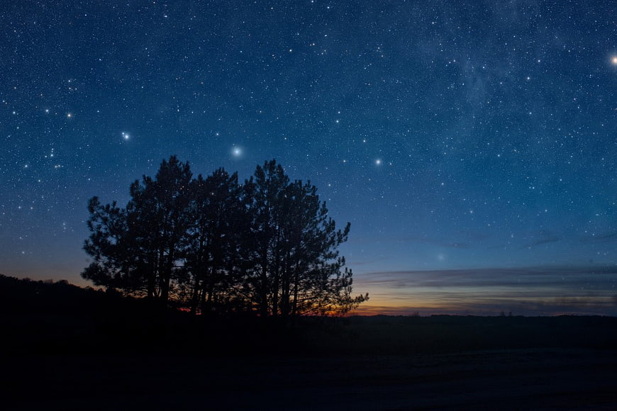 Silhouette of Pine Trees Against Starry Night Sky