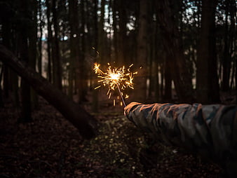 Hand holding sparkler in dark forest woods