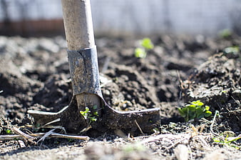 Close-up of shovel in dark soil with green sprouts