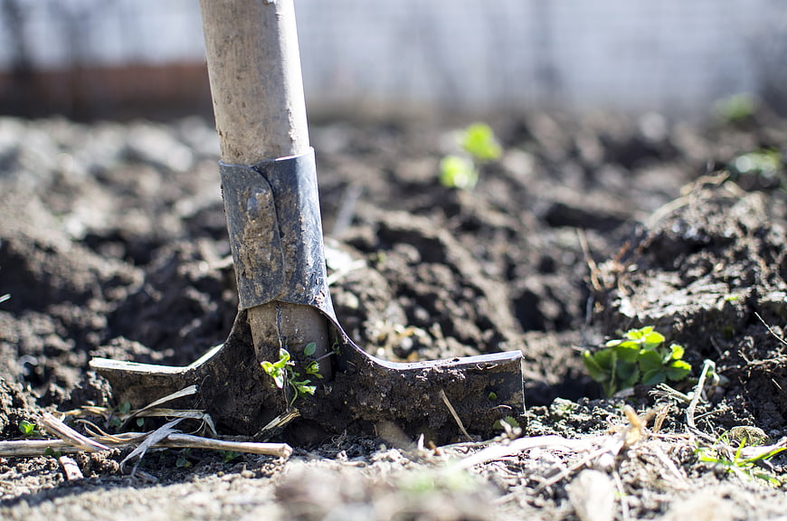 Close-up of shovel in dark soil with green sprouts