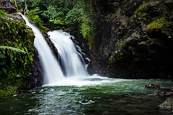 Tropical Waterfall Cascading Into Green Pool In Lush Jungle