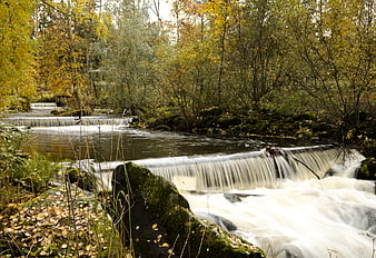 Autumn River Rapids in Finnish Forest Landscape
