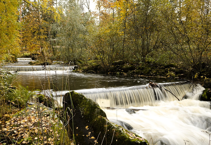 Autumn River Rapids in Finnish Forest Landscape