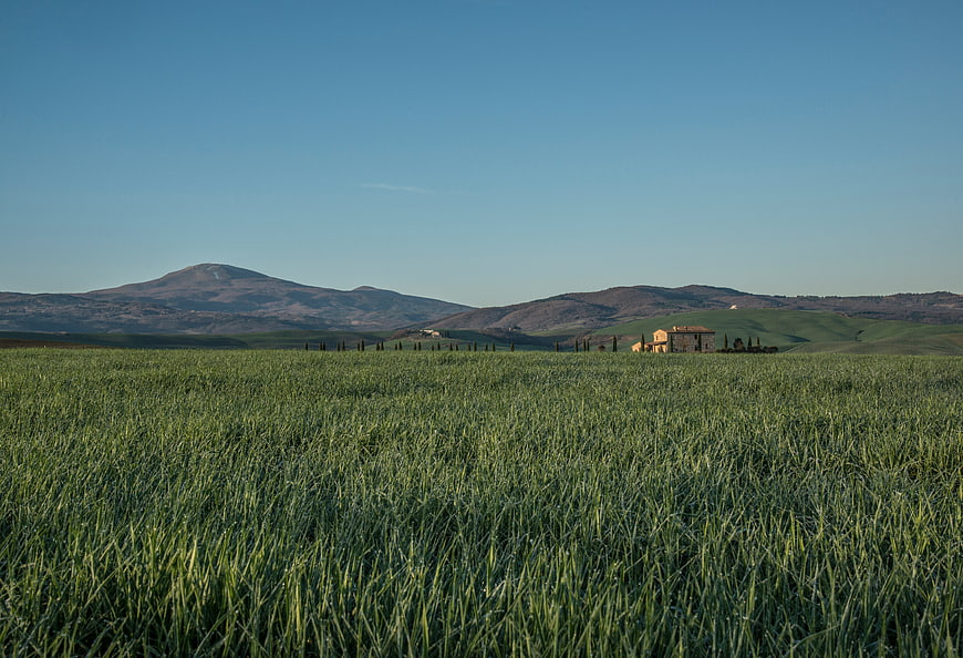 Serene Tuscan Landscape with Green Wheat Field and Distant Hills