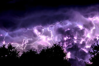 Dramatic purple lightning storm illuminating dark clouds over silhouetted trees