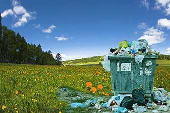 Overflowing Trash Bin In Wildflower Meadow Environmental Pollution