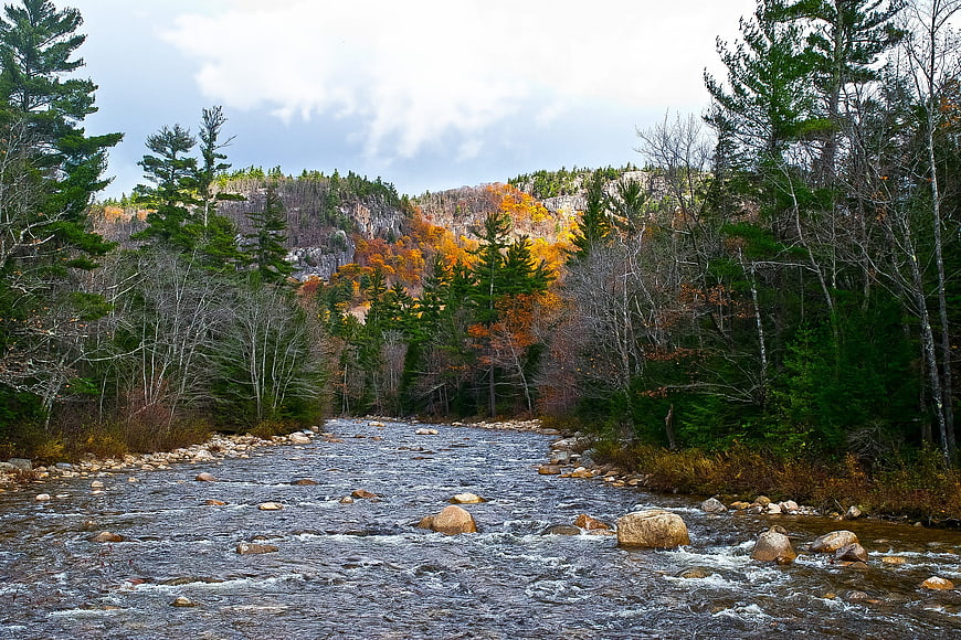 Autumn river flowing through forest with colorful foliage