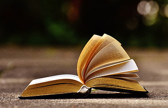 Open Book with Pages Blowing in the Wind Outdoors