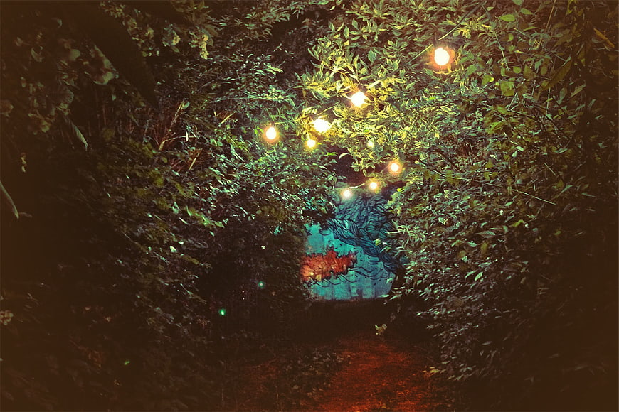 Enchanted Garden Path with String Lights at Night