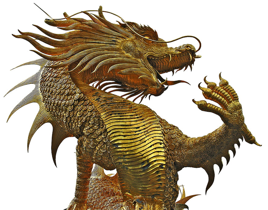 Golden Asian Dragon Sculpture Isolated On White Background