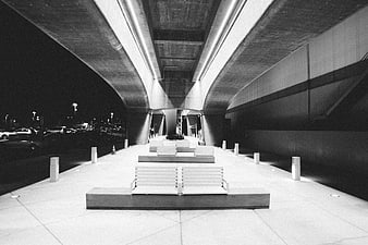 Black and white night view of modern benches under concrete overpass