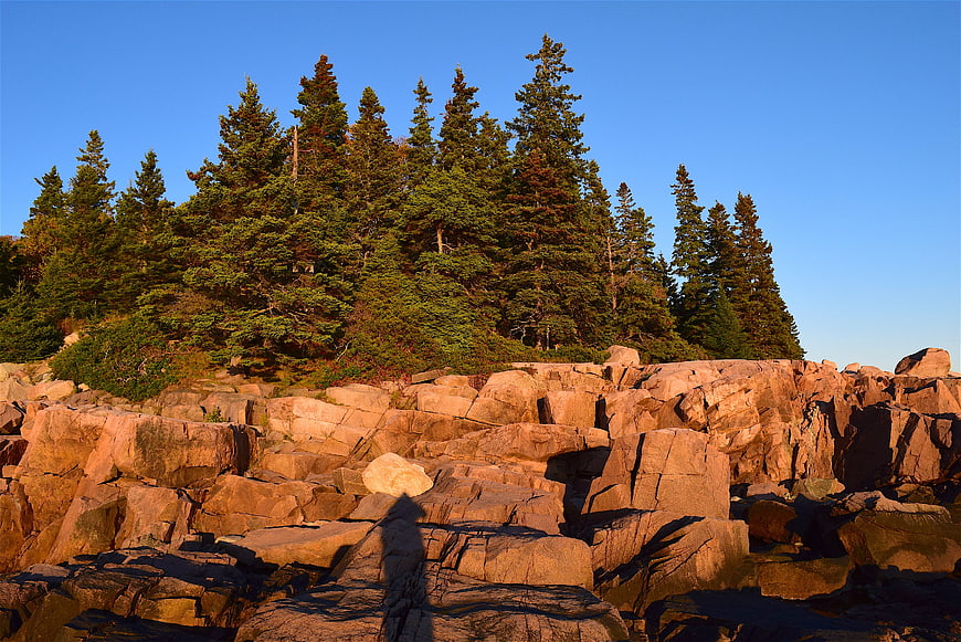 Golden hour sunlight on rocky Maine coastline with pine trees