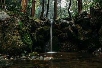 Serene waterfall cascading into a forest pool surrounded by mossy rocks