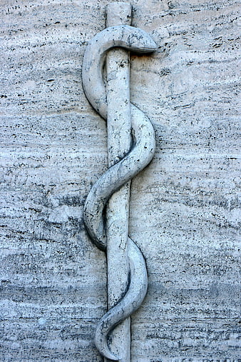 Weathered Asclepius Staff Stone Relief on Textured Wall