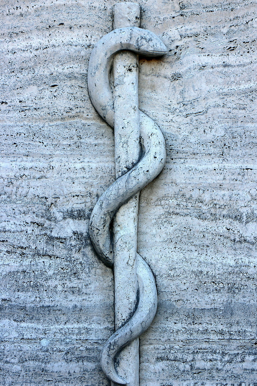 Weathered Asclepius Staff Stone Relief on Textured Wall