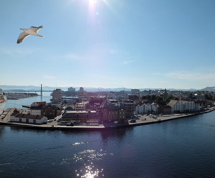 Seagull Flying Over Stavanger Harbor and Cityscape
