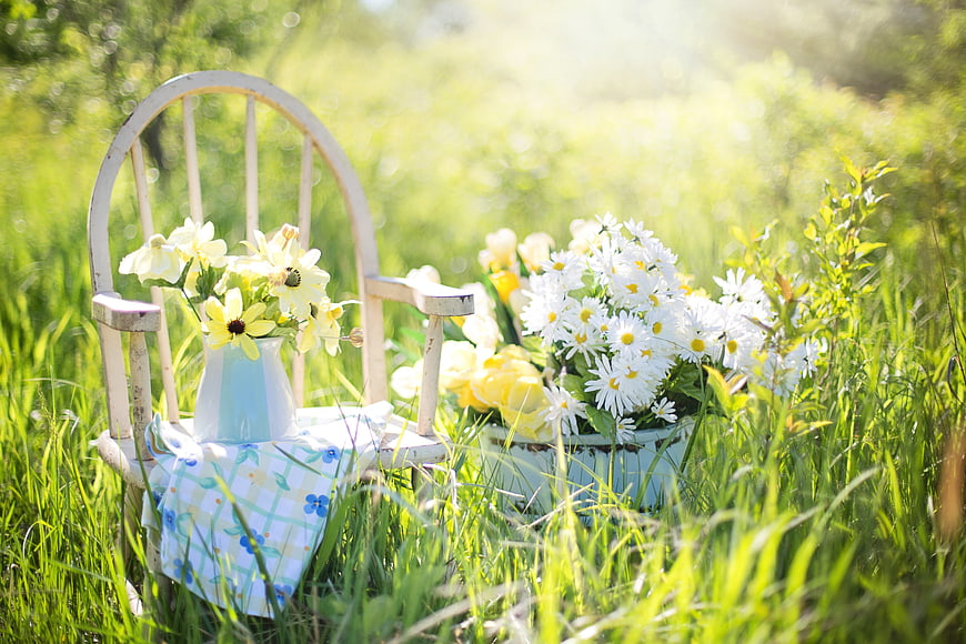 Vintage Chair with Daisies and Flowers in Sunny Garden