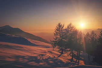 Golden Sunset Over Snowy Mountain Slope with Pine Trees
