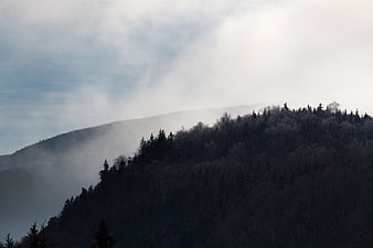 Misty Mountain Ridge with Dark Forest Silhouette