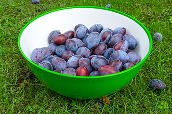 Fresh purple plums in a green bowl on grass