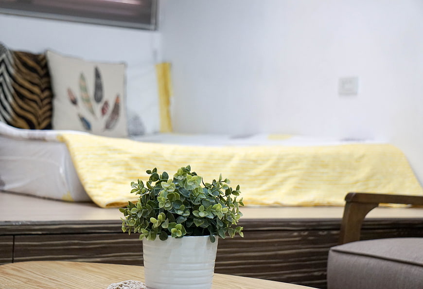 Modern Bedroom Interior with Yellow Blanket and Potted Plant