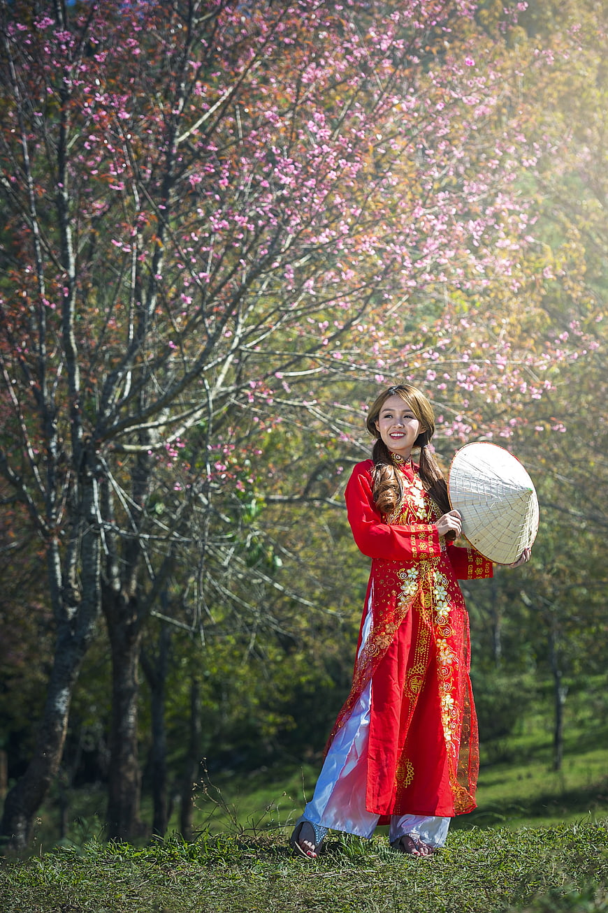 Woman in Red Ao Dai with Conical Hat Under Cherry Blossoms