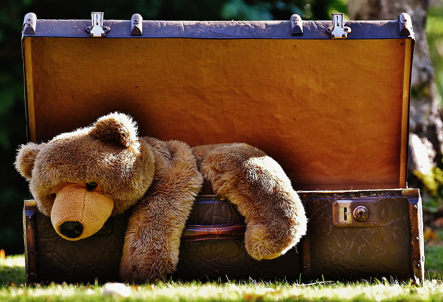 Vintage Teddy Bear Resting in Open Antique Suitcase