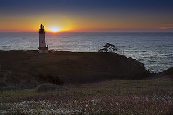 Lighthouse on Coastal Cliff at Sunset with Wildflowers