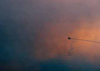 Lone Duck Swimming in Misty Lake at Sunset