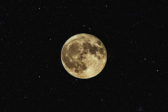 Full Moon in Starry Night Sky with Craters