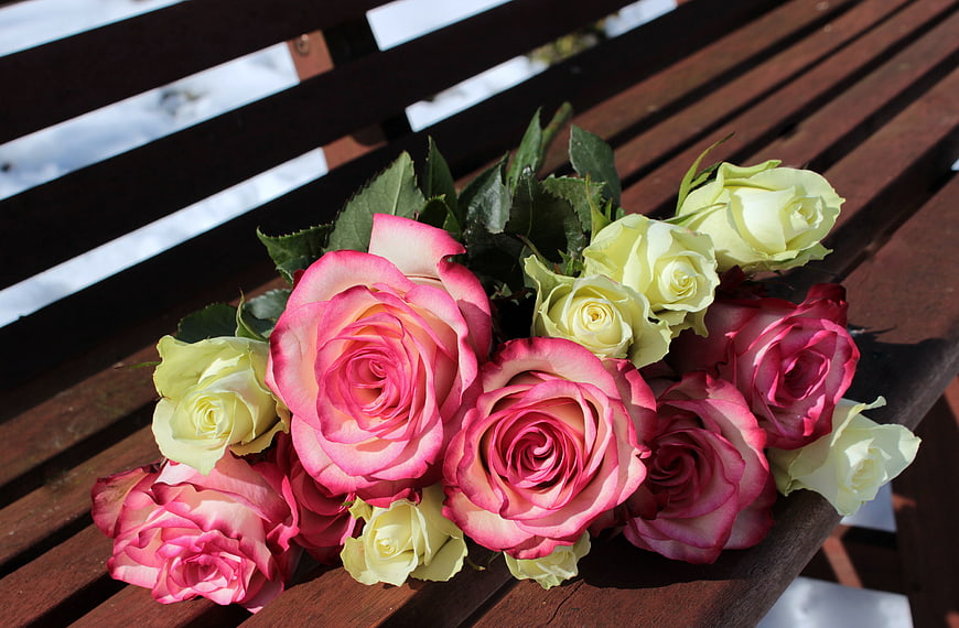 Bouquet of Pink and White Roses on Wooden Bench