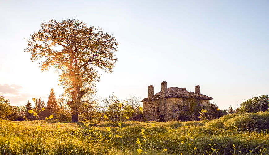 Old stone house in a field of yellow flowers at sunset