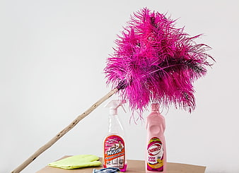 Pink Feather Duster and Cleaning Supplies on Wooden Surface