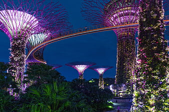 Illuminated Supertrees and Skyway at Gardens by the Bay, Singapore
