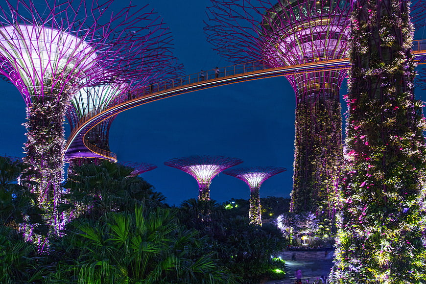 Illuminated Supertrees and Skyway at Gardens by the Bay, Singapore