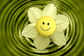 Yellow smiley face button on white flower petals
