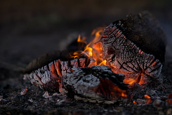 Close-up of burning logs with glowing embers and flames