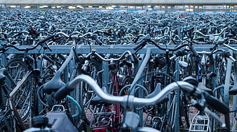 Massive bicycle parking lot with rows of bikes