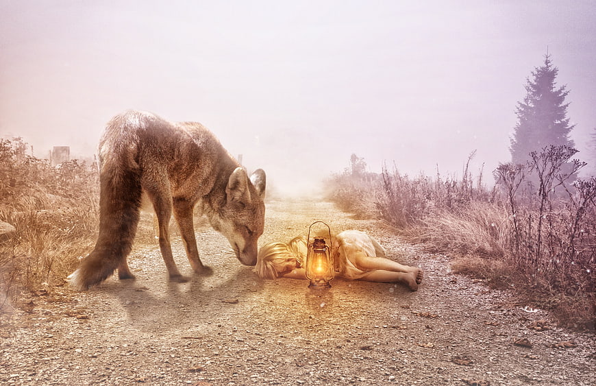 Conceptual Art of Wolf and Girl with Lantern on Misty Path