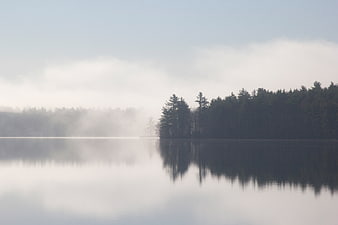 Serene Misty Lake Landscape with Pine Trees and Reflection
