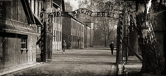 Black and white view of Auschwitz concentration camp entrance gate