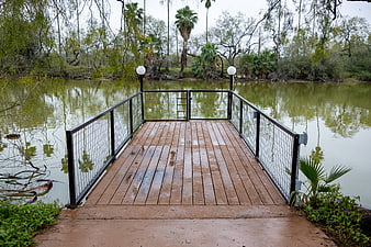 Wet wooden boat dock extending into calm lake with trees