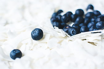 Fresh Blueberries on White Coconut Flakes