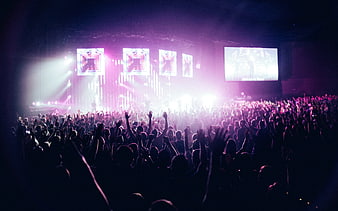 Energetic concert crowd with raised hands under purple stage lights