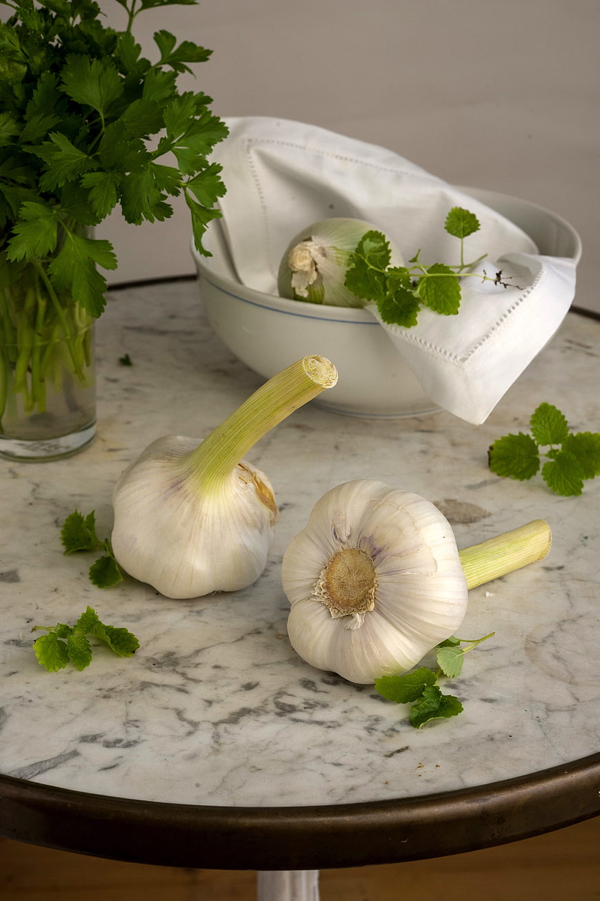 Fresh Garlic Bulbs and Herbs on Marble Table
