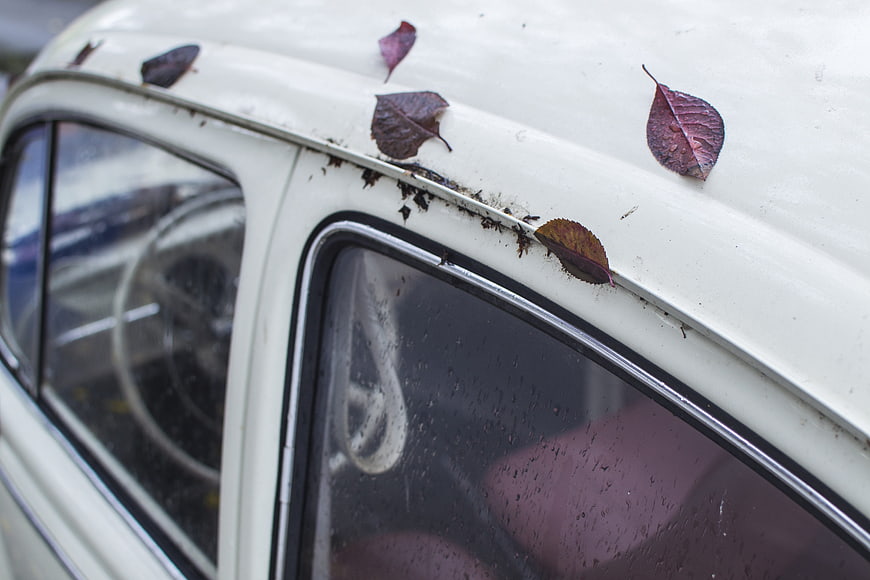 Close-up of vintage white car with autumn leaves