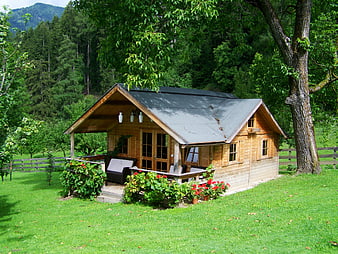 Charming wooden cabin with porch in lush green forest