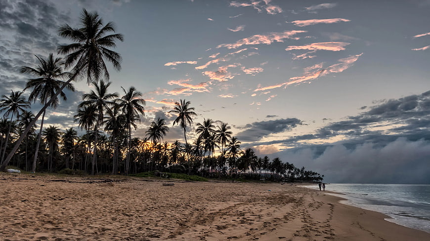 Tropical Beach Sunset with Palm Trees and Pink Clouds